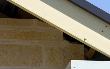 soffit repair Chettisham