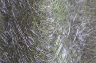 Chettisham fibreglass roof work