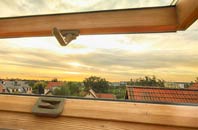 rated Chettisham roof window companies
